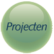 Projecten